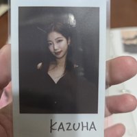 FEARLESS 出道官周貼紙 葉 