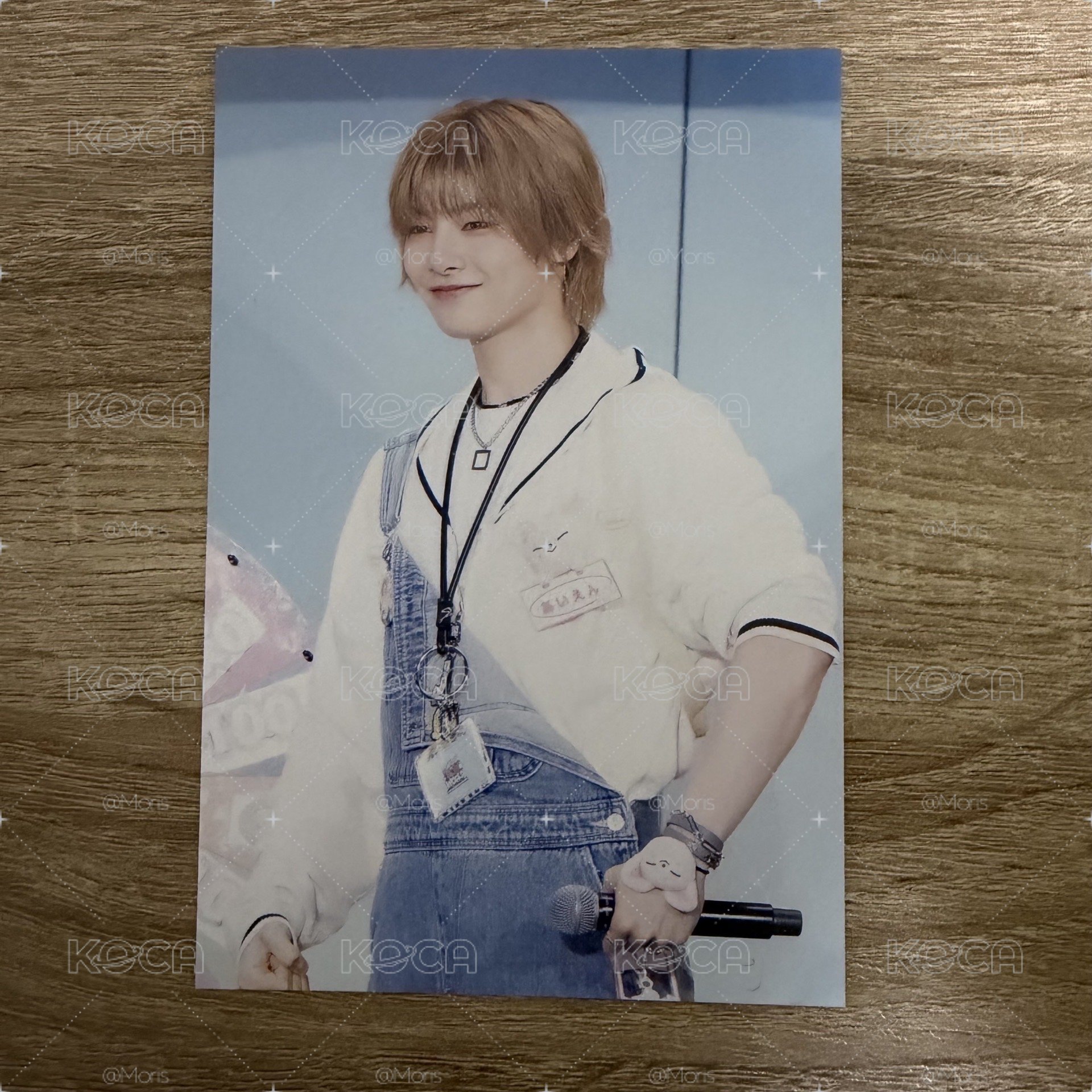 Stray kids 日本 toy world 藍光 塔店 特典 明信片 IN