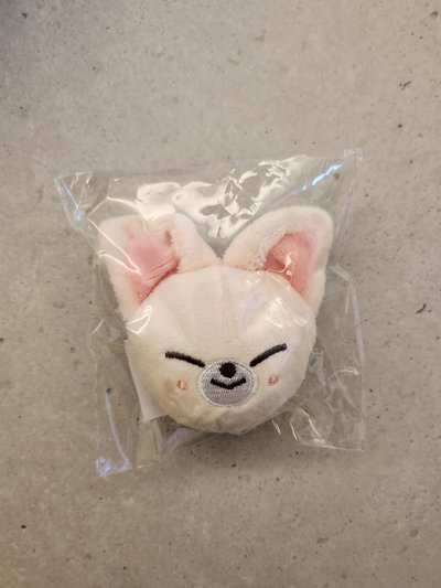 [SKZ]stray kids IN Foxiny 寅 日本快閃店磁鐵