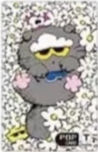 ZO&FRIENDS GS25 交通卡 