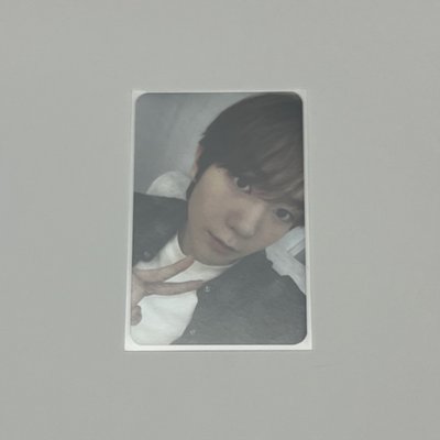 Steady ITTA 簽售卡