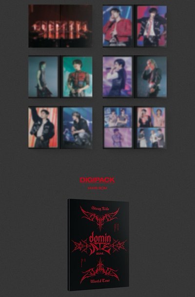 Stray Kids(DVD)World Tour [dominATE SEOUL](韓國進口版)