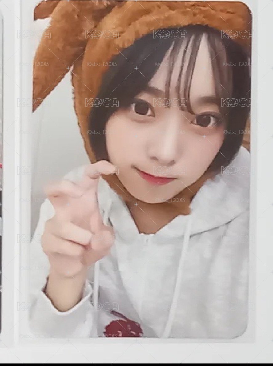 QWER ms兔帽燕