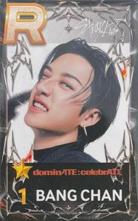 SUPERSTAR 遊戲卡 dominATE:celebrATE