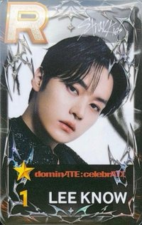 SUPERSTAR 遊戲卡 dominATE:celebrATE