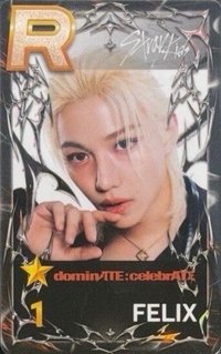 SUPERSTAR 遊戲卡 dominATE:celebrATE