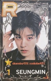 SUPERSTAR 遊戲卡 dominATE:celebrATE