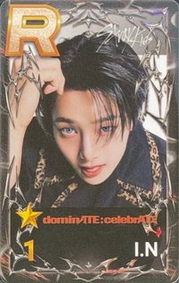 SUPERSTAR 遊戲卡 dominATE:celebrATE