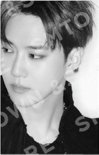 正八快閃 周邊卡 卡冊