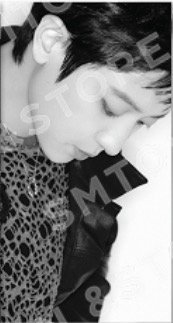 正八快閃 周邊卡 卡冊