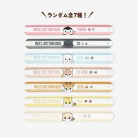 2025 日巡場周 隨機拍拍手環