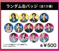 FNC BAND KINGDOM fnc 徽章 