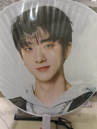 崔智雄日巡王扇