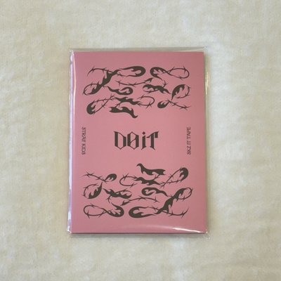 Stray kids Do it快閃店 金昇玟 貼紙書 貼紙本