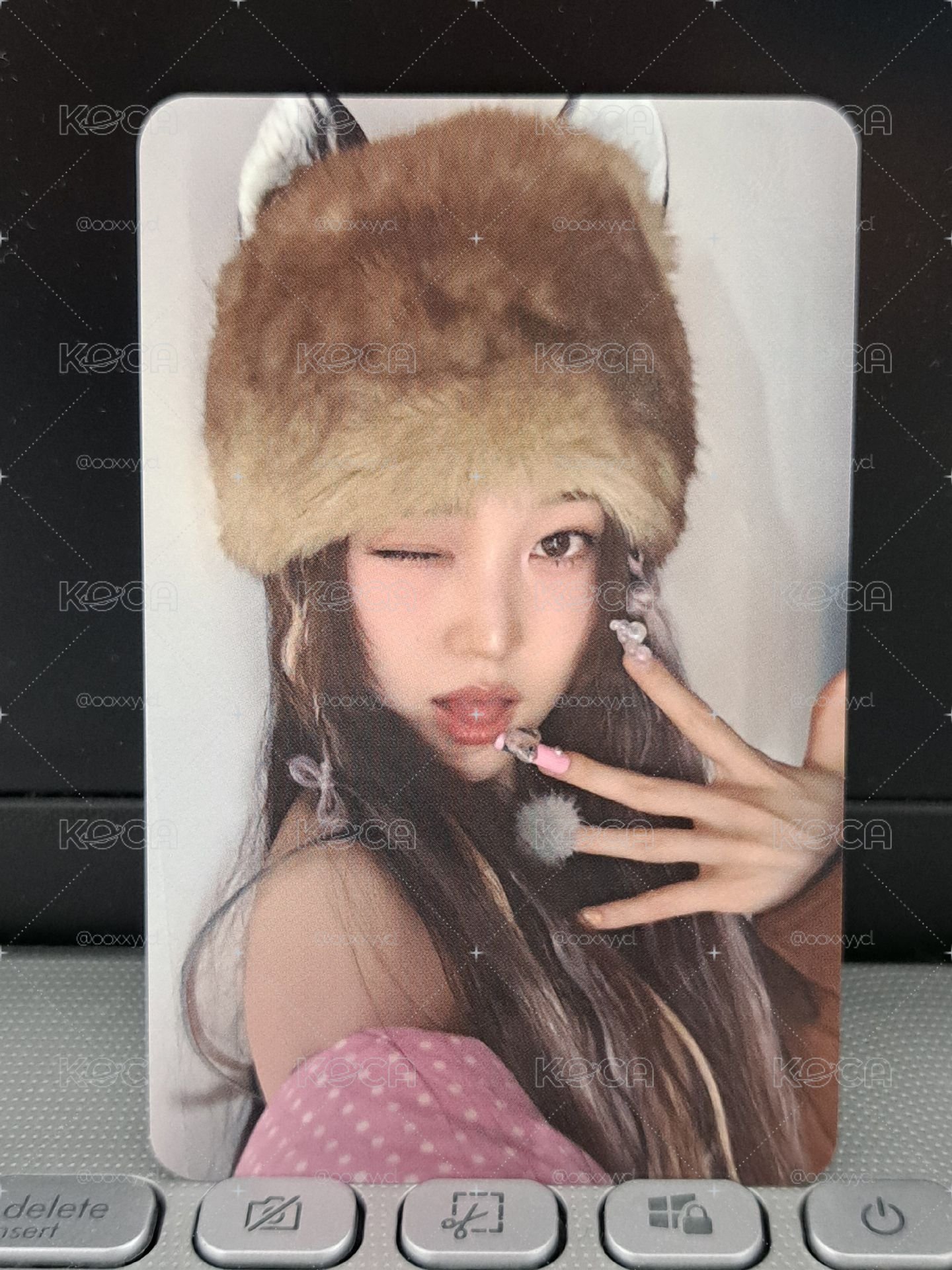 ms wink書
