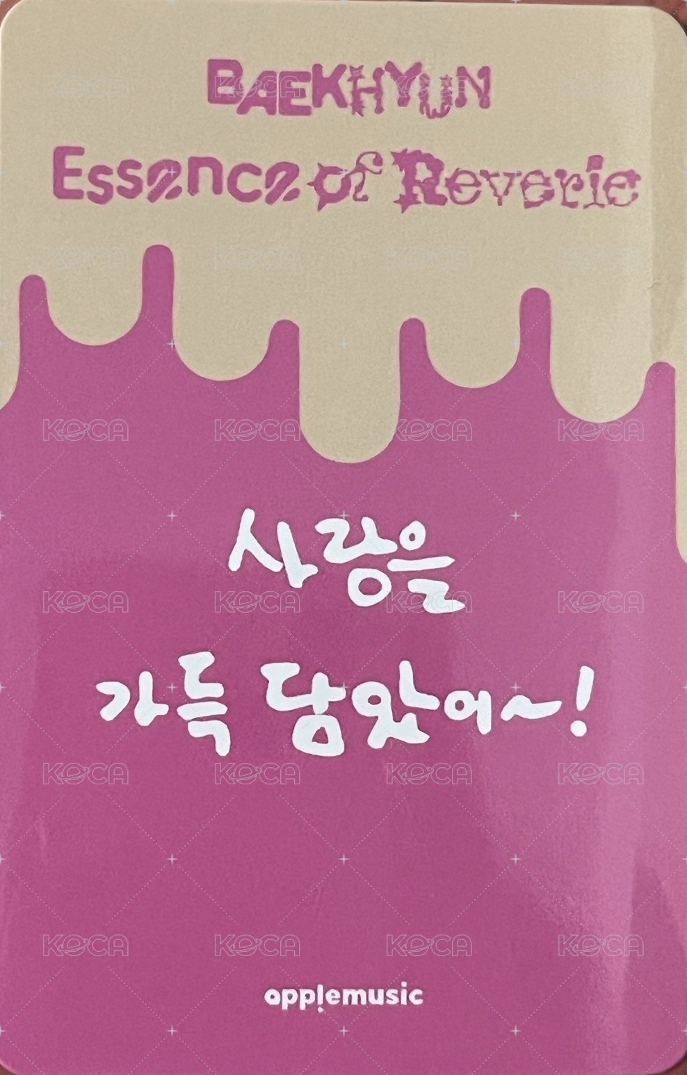 bolo5 am 咖啡廳 麵包ver. 入場卡 / 場限卡 咖啡廳快閃麵包卡 背面