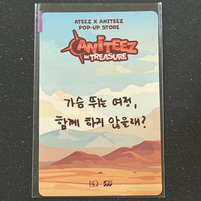 ANITEEZ TREASURE 5萬滿額卡 宋旼琦