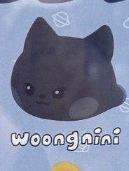 woongnini