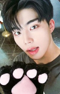 二巡H＆N 首爾 入場卡 / 場限卡 D3