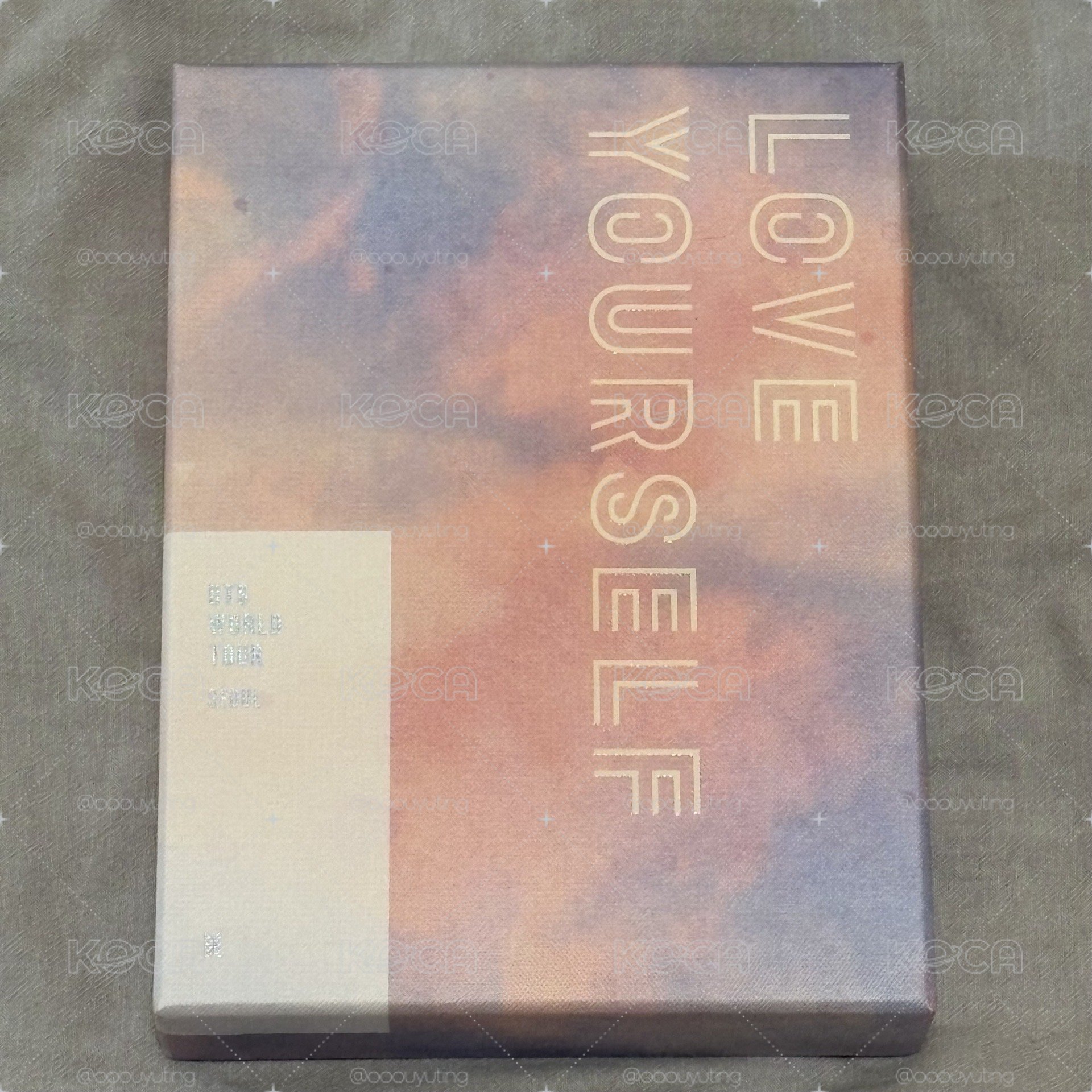 BTS 防彈 LY TOUR DVD 不含卡