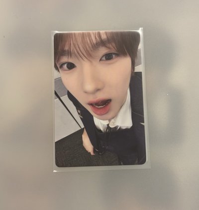 sakuya 哉幹嘛呀,咲麵包來啦～中文卡背 yzy2.0