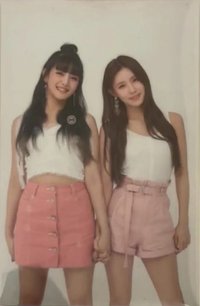 一期會員 會員禮卡 麵妮 狗狗姊妹雙人卡