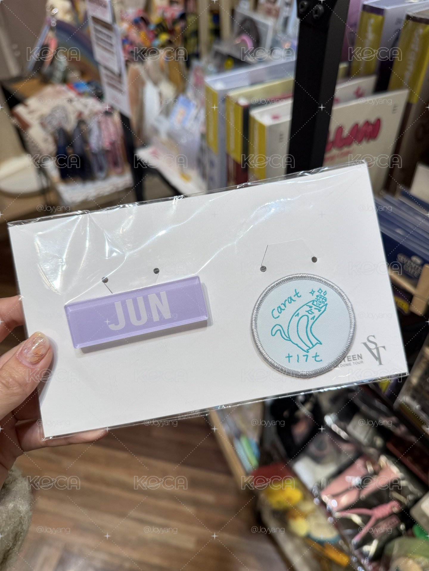 2020 蛋巡徽章組