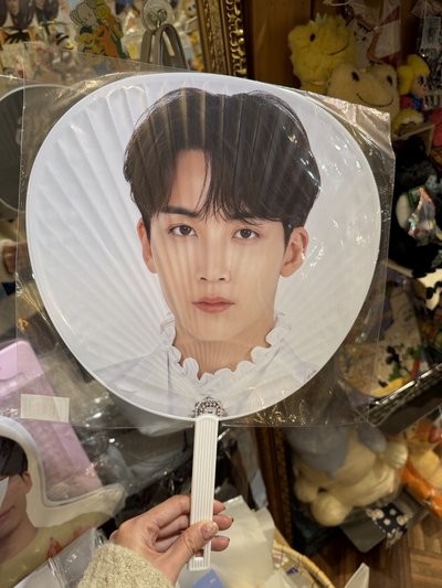 2020 蛋巡A版 大扇