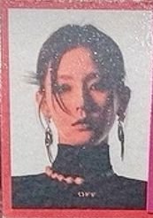 I NEVER DIE 專輯卡 證件照