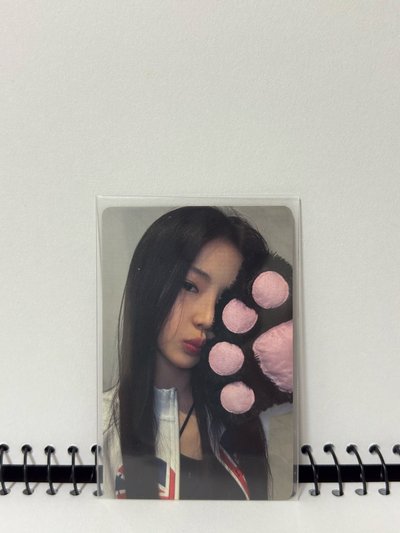 一些寶怪Ruka 的卡