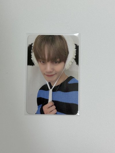 ZB1 迷五ms 狗耳奎彬