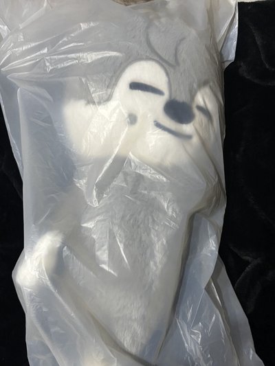 Wolf Chan PLUSH BAG 泰迪側背包