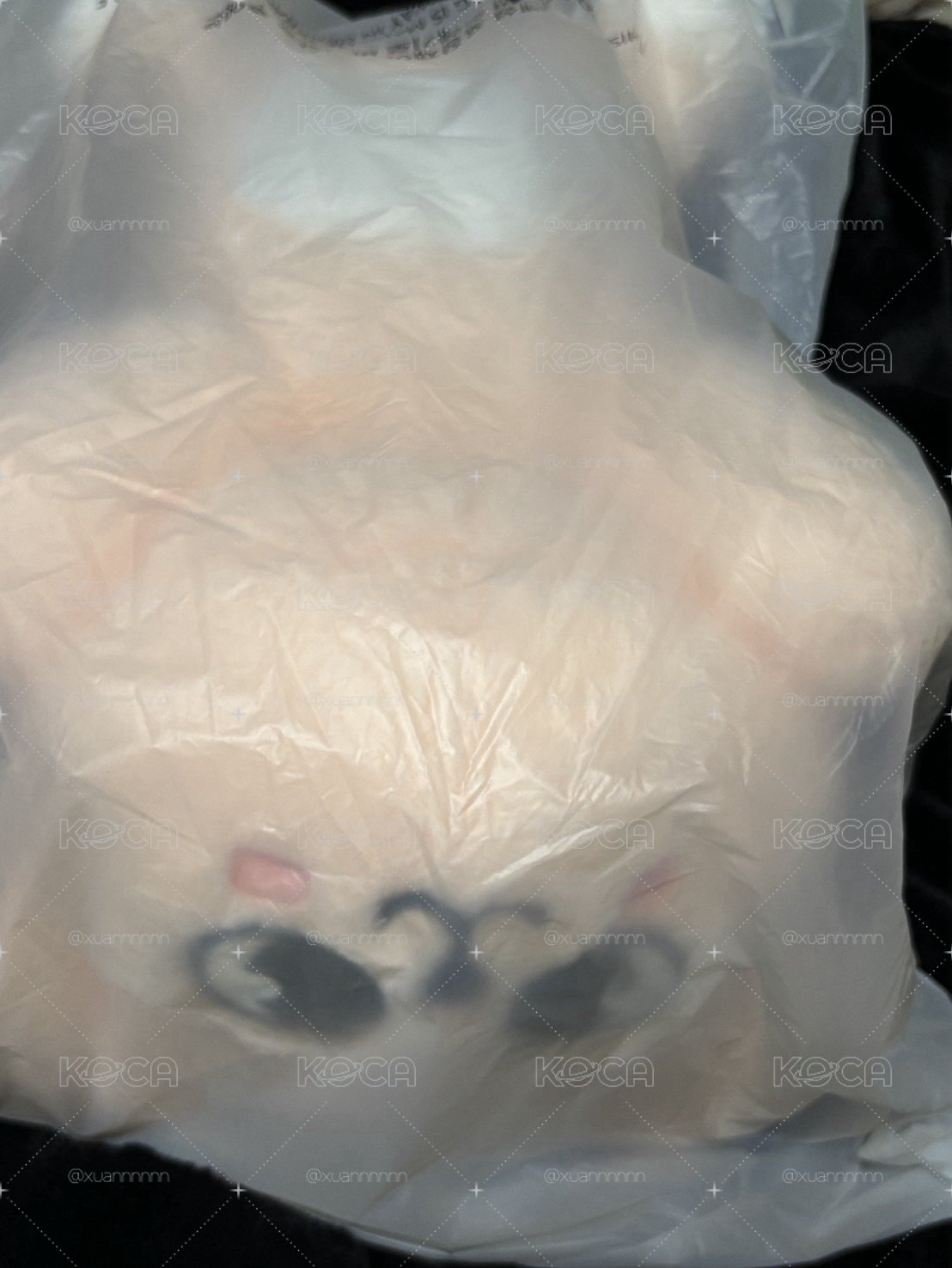 PuppyM PLUSH LYING Ver. 昇玟設計泰迪帕皮趴娃