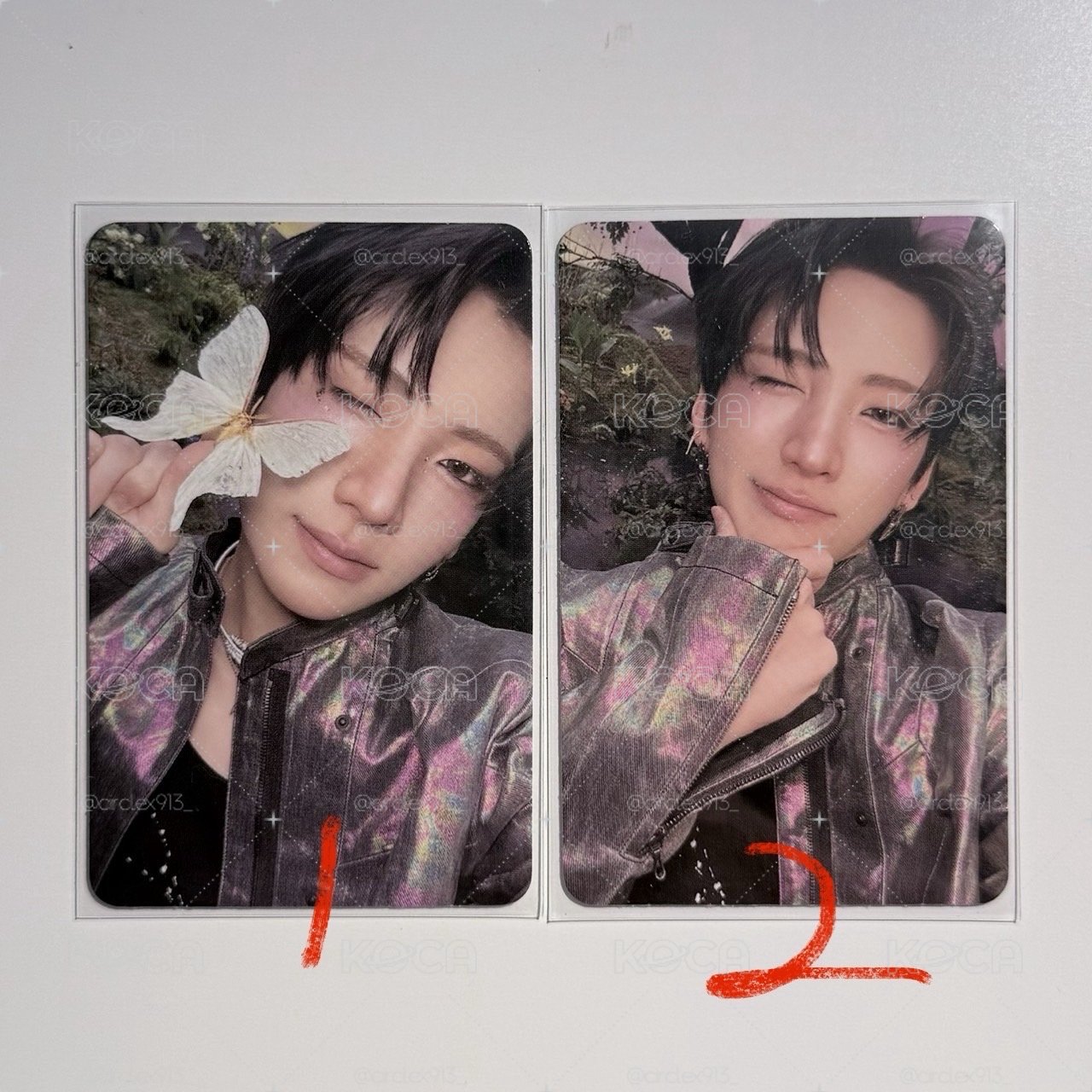 BTL專卡-YUMA