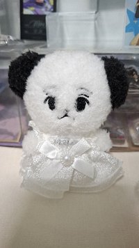 金希澈的狗