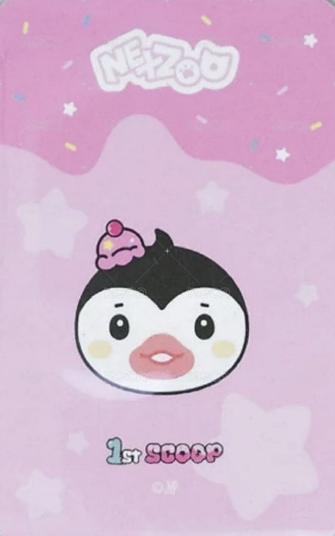 1st SCOOP 卡冊 周邊卡  背面