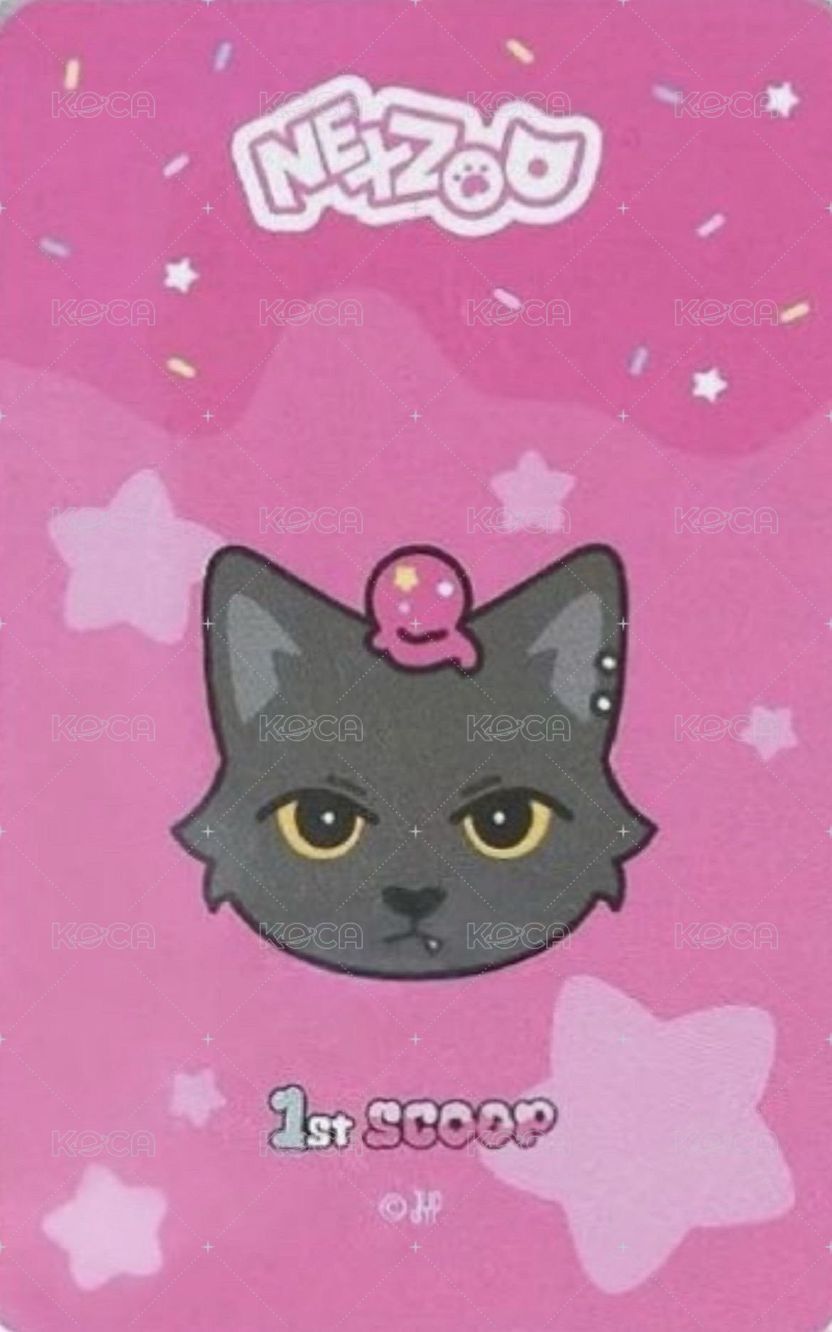 1st SCOOP 卡冊 周邊卡  背面