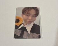 🩷精選專 WVS GV卡 小熊送你向日葵🐻🌻 夫勝寛