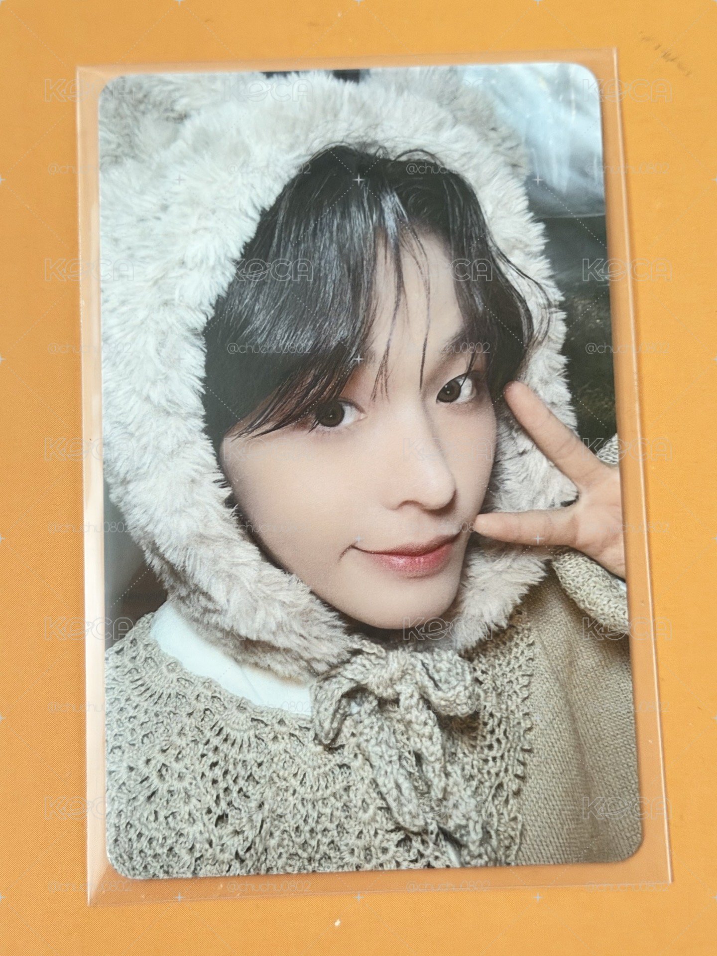 nct wish fc日咖會員禮小卡