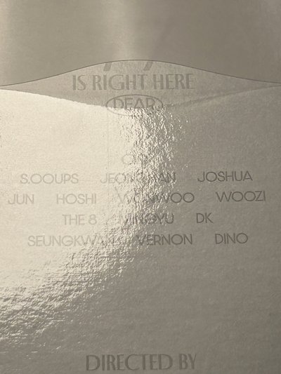 Seventeen 克拉盤 李碩珉