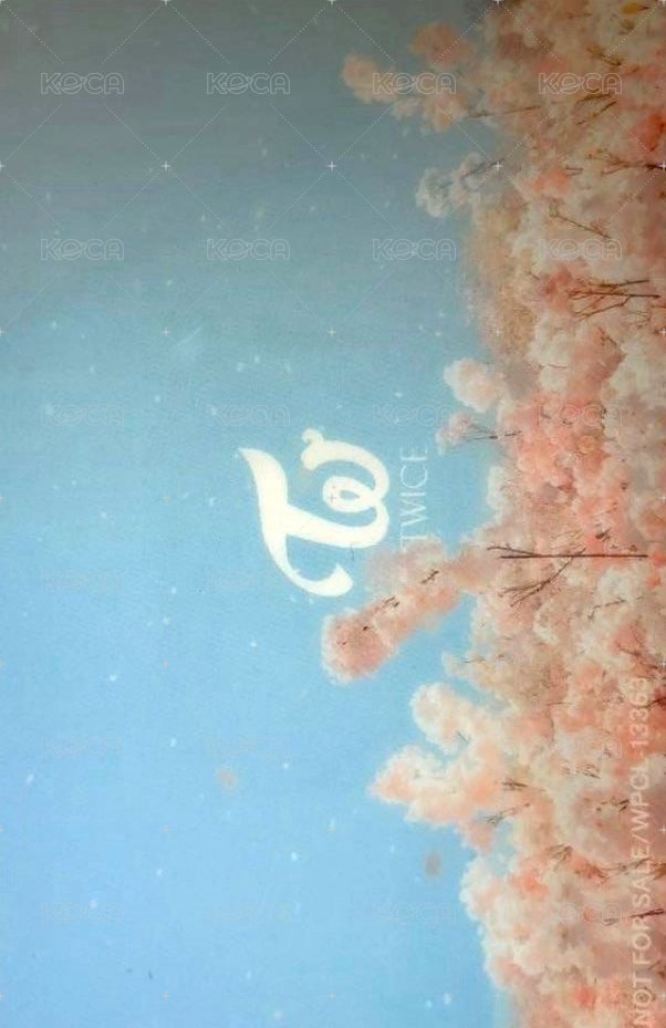 #TWICE4 專輯卡 ID卡 背面