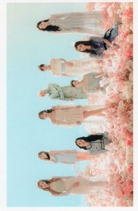 JP精選四 專輯卡 