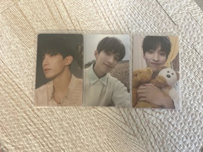 seventeen 李碩珉 抱熊 電子專