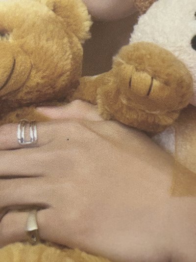 seventeen 李碩珉 抱熊 電子專