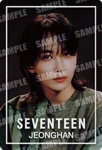 萬代聯名 周邊卡 威化餅乾卡