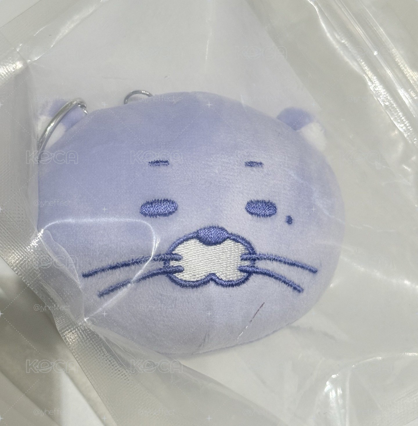 紫色DALRING