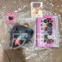 RIKU原皮+綁RIIZE明信片組+禧滿額