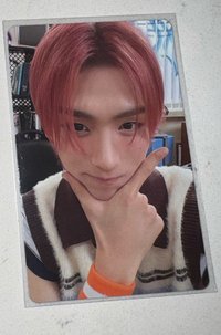 粉毛英宰