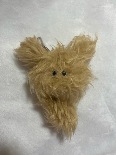 NMIXX專卡/貝水母