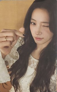 25‘巡迴 首爾安可 隨機卡 